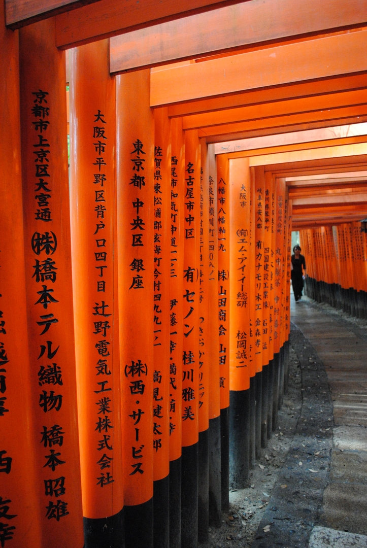 The way of Inari (Kami)