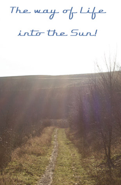 The way of Life into the Sun