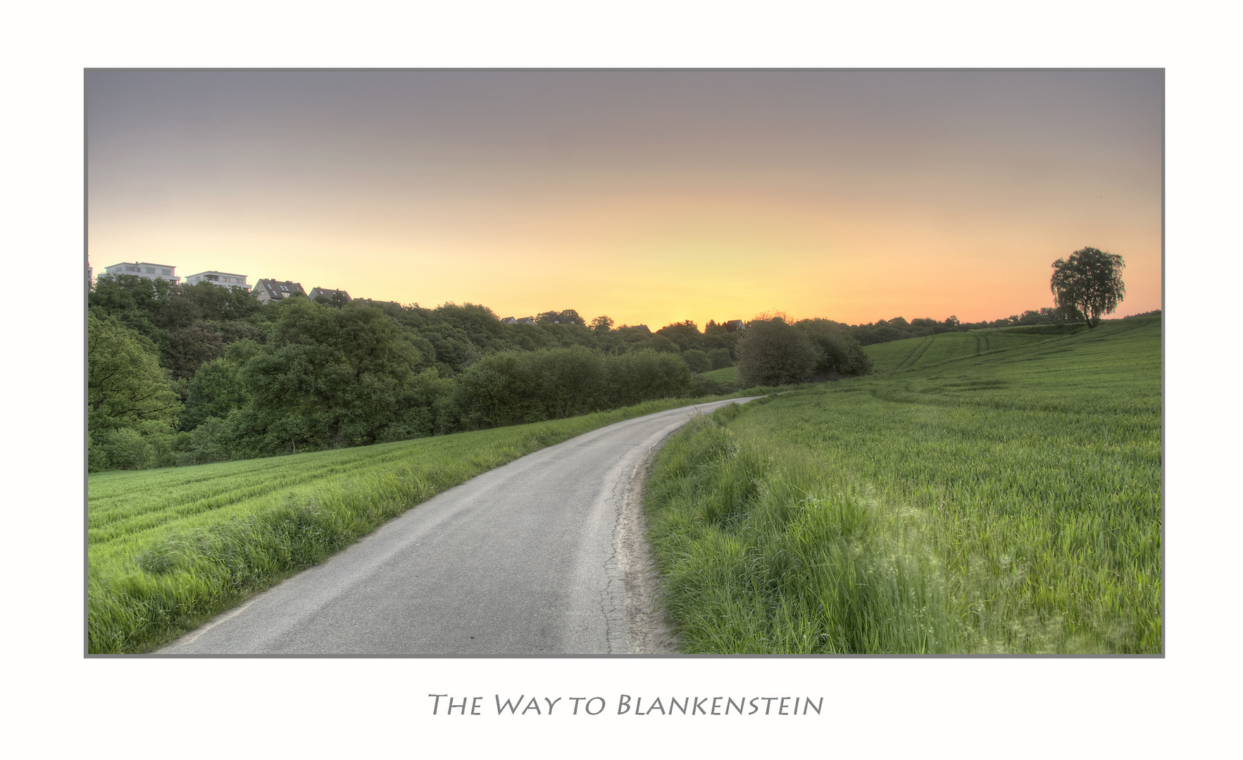 The Way to Blankenstein