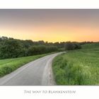 The Way to Blankenstein