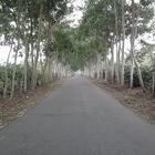 the way to ijen creater