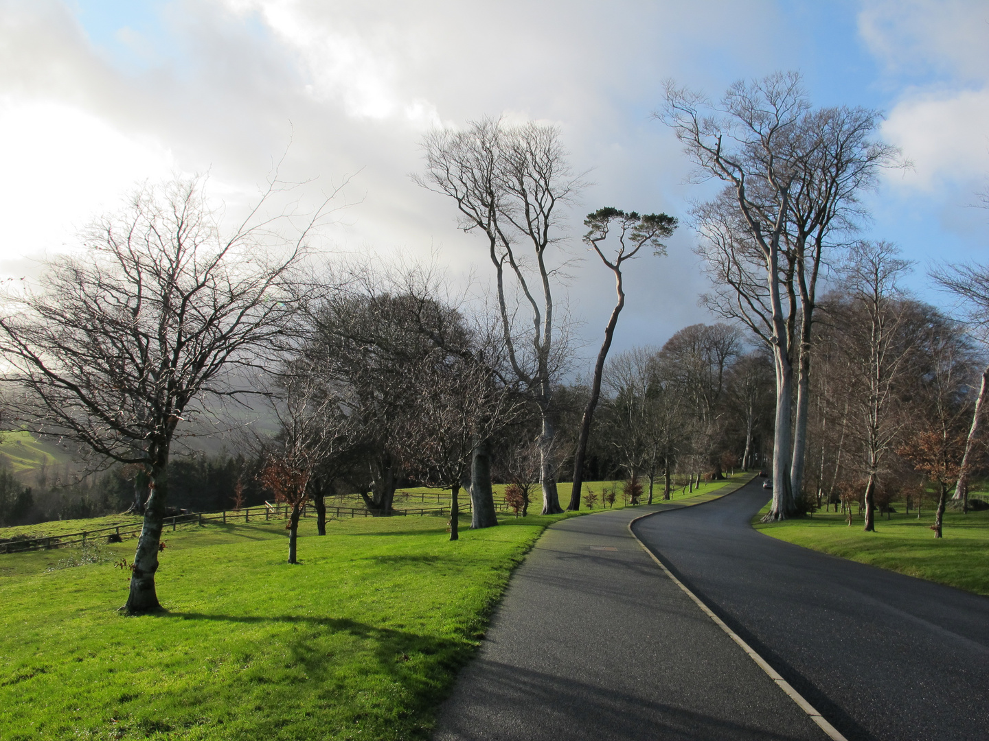 the way to powerscourt gardens