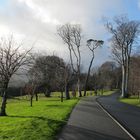 the way to powerscourt gardens