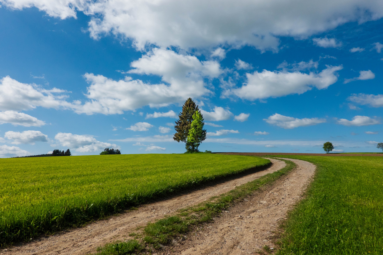 The Way to the Fields