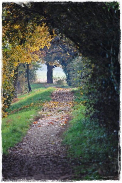 The Way To Wonderland von VakreNorge 