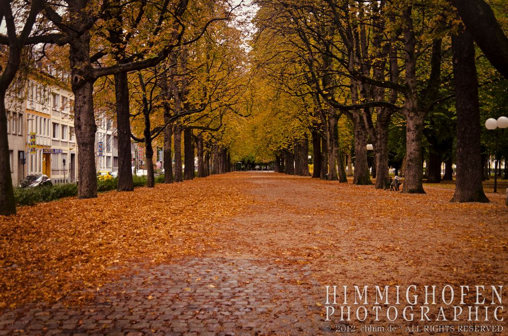 The Way Trough Autumn