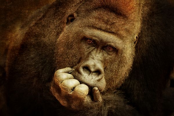 THE WAY YOU LOOK AT ME ....