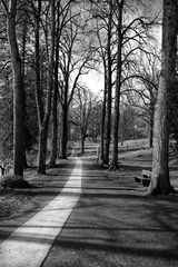 The Way(86); One last walk in 2024....