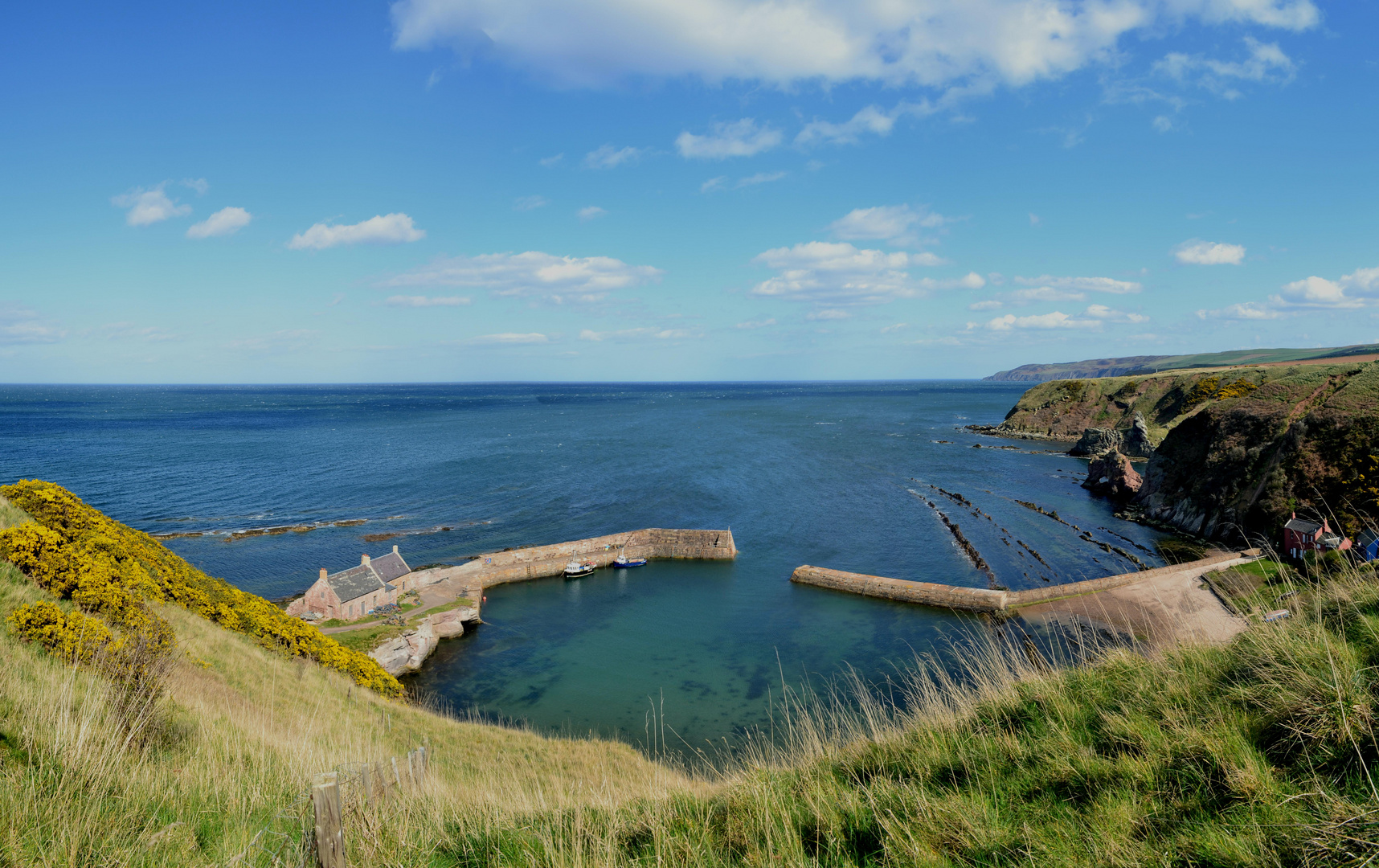 The wee harbour