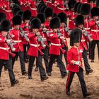 The Welsh Guards