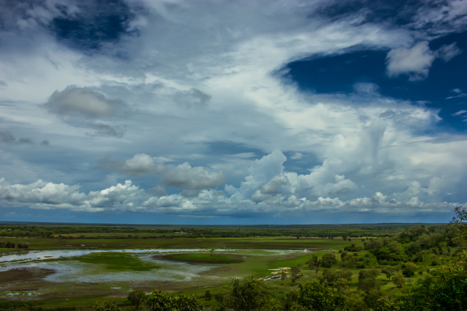 The Wetlands