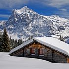 The Wetterhorn from the path to Bort.