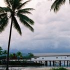 The Wharf Port Douglas