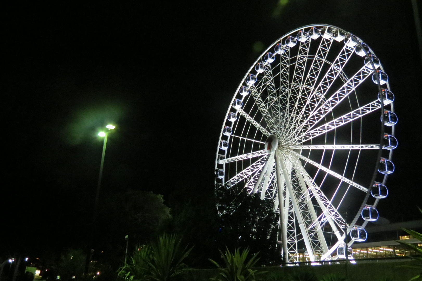 The wheel of Brisbane