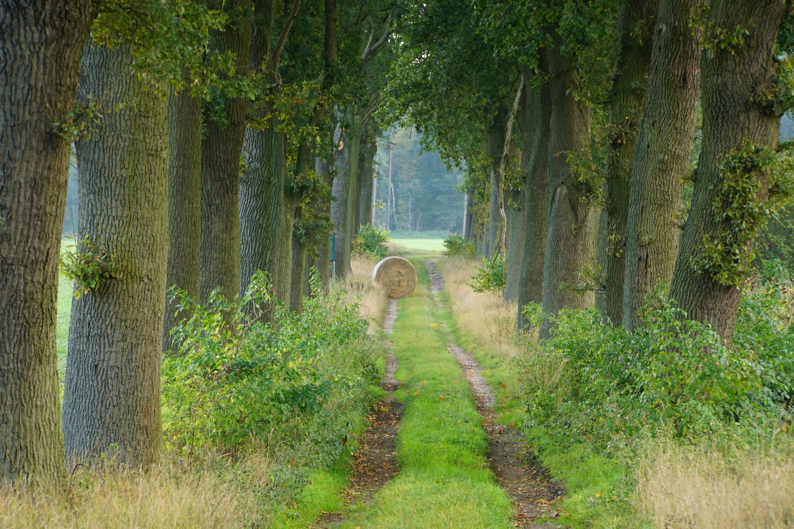 The wheel of time is standing still/ Wenn das Rad der Zeit still steht..