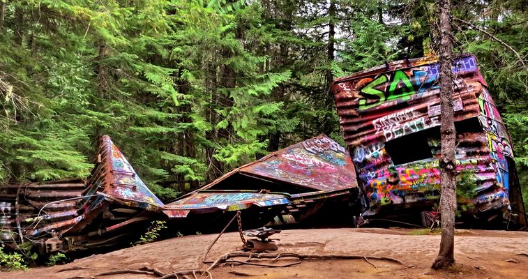 The Whistler Train Wreck (2)