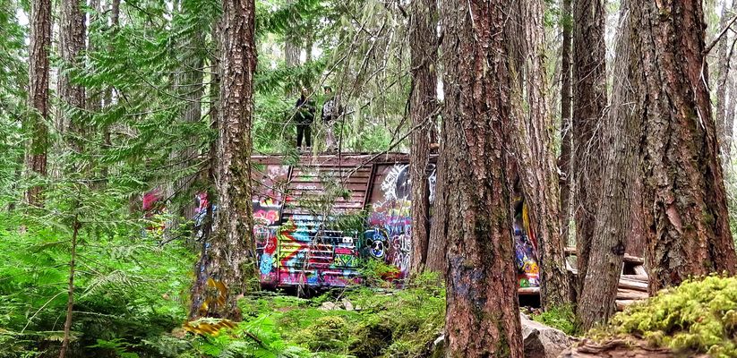 The Whistler Train Wreck (3)