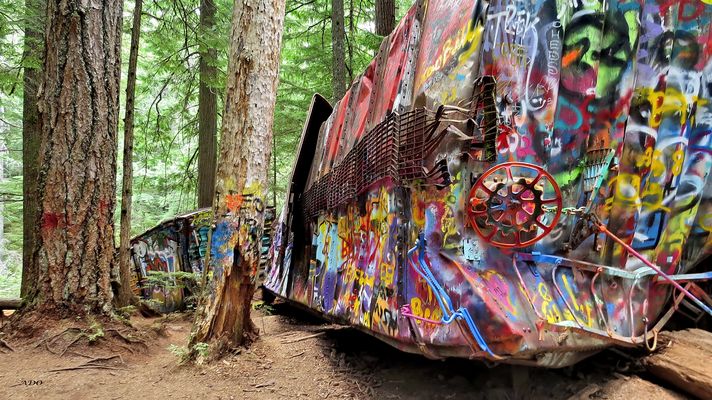 The Whistler Train Wreck