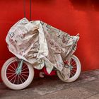 The White Bicycle Of Burano