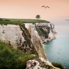 The White Cliffs of Dover