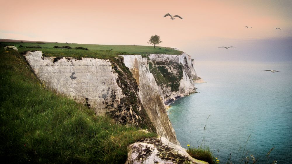 The White Cliffs of Dover Foto & Bild südküste england, meer, natur