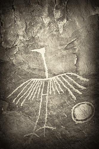 The white crane - Petroglyph