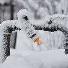 The white frost on water tap