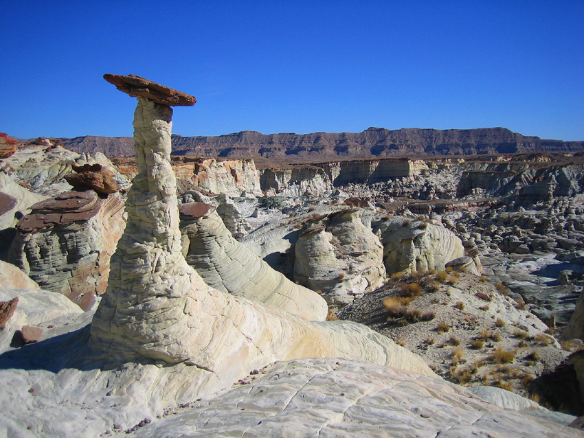 THE WHITE HOODOO