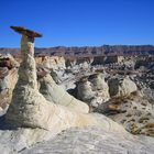 THE WHITE HOODOO