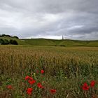 - The White Horse of Cherhill -