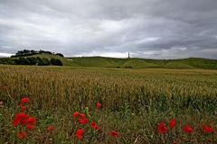 - The White Horse of Cherhill -