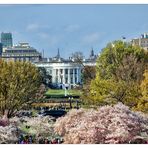 The White House.