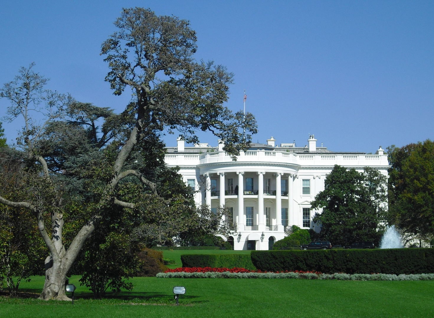 the white house