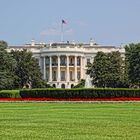 The White House in Washington D.C.