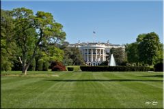 The White House Washington D.C.