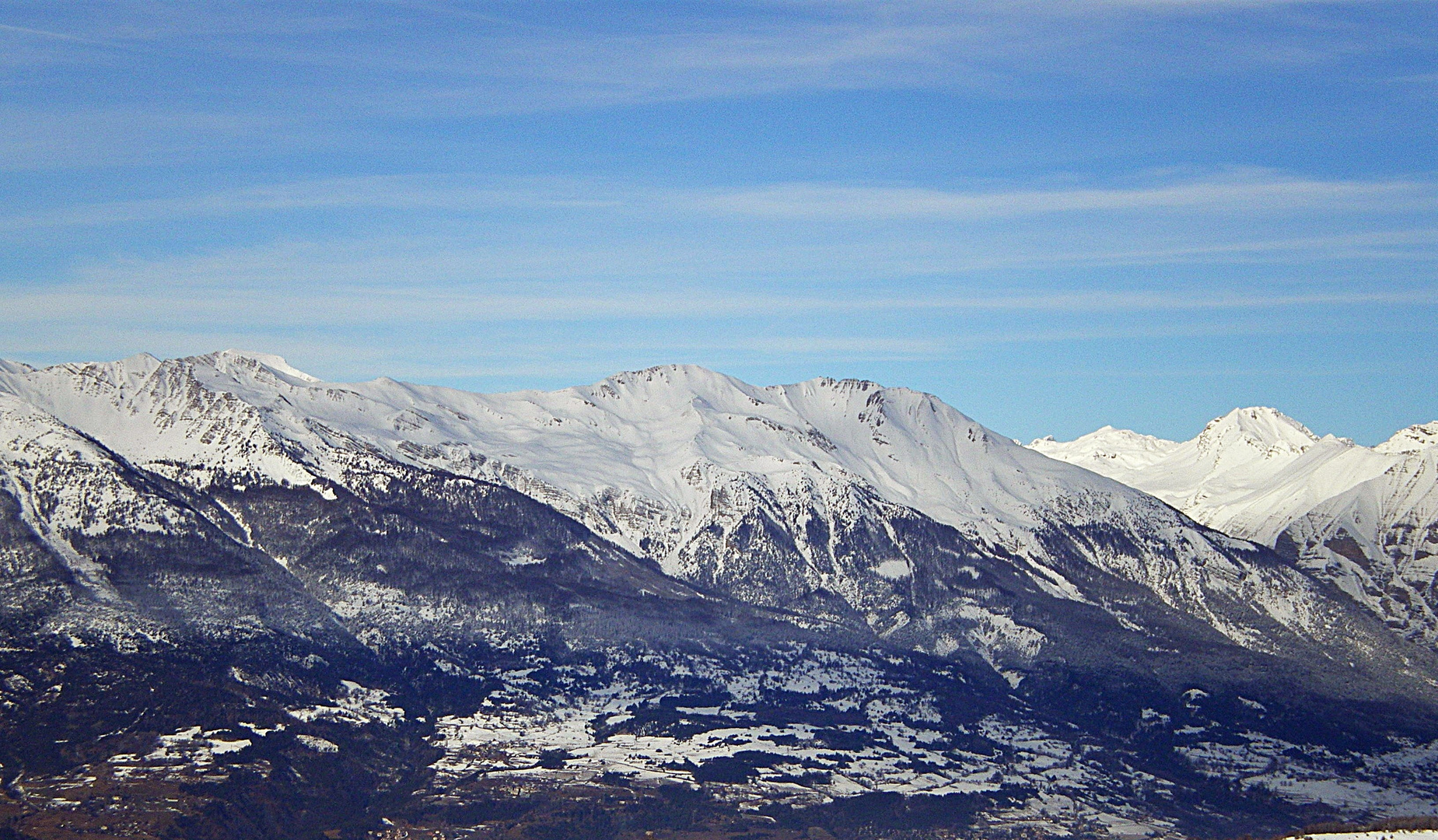 The White Suisse