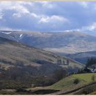 the Whitehall and the Cheviot 6