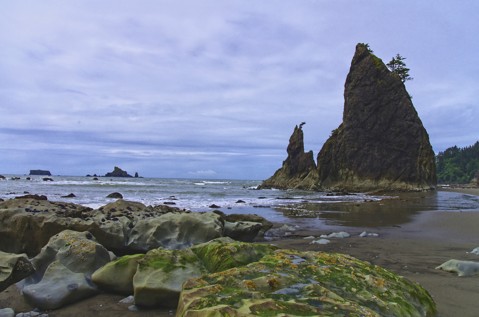 The Wild North-Western Coast line II (in Washington State)