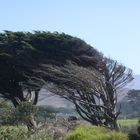 The wind in her hair