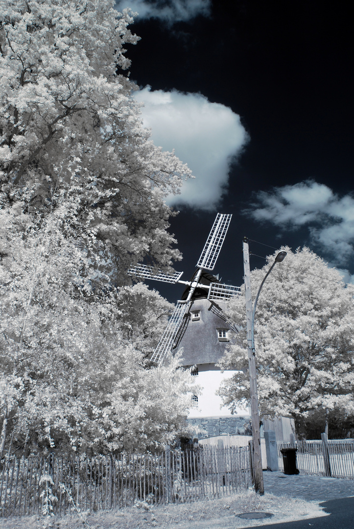 The wind mill