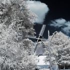 The wind mill