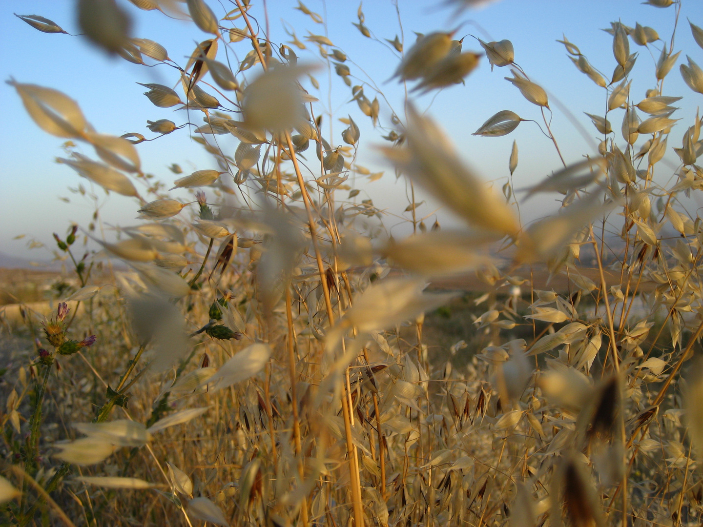 THE WIND OF CHANGE