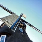 The Windmill