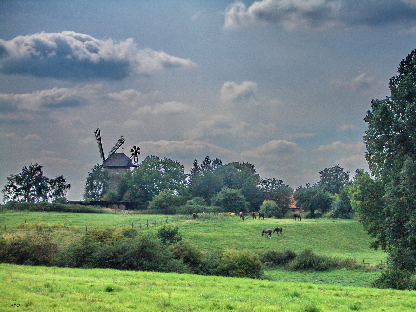 The Windmill