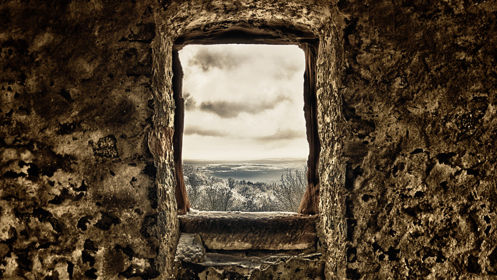 the window