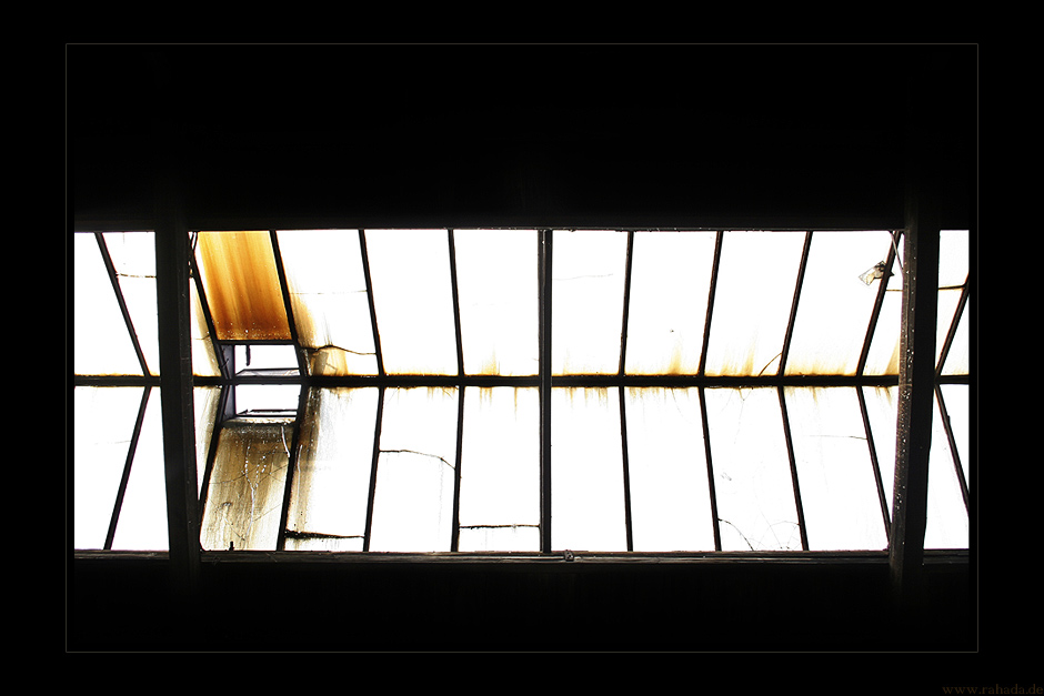 _the window_