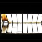 _the window_