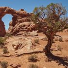 The Windows im Arches Nationalpark in Utah USA