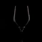 the wine glass