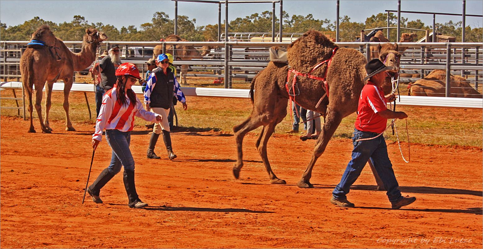 * The Winner the Jockey and the Trainer *